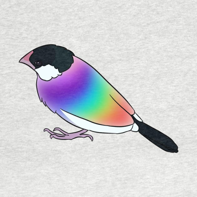 Rainbow Bird by Kabbage